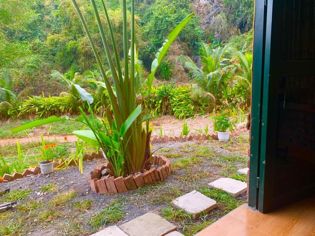 Cat Ba Island Garden Homestay - Papillon Exterior foto