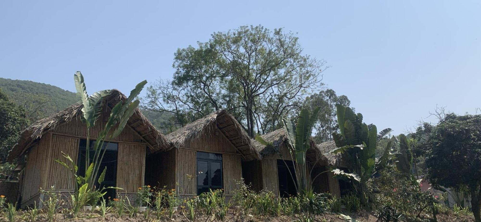 Cat Ba Island Garden Homestay - Papillon Exterior foto